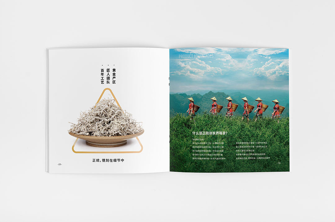 茶叶-画册设计（图ZMjM5NzA1MDI0） - 书籍/画册 - 站酷设计师西瓜田里养过鱼原创素材 - 站酷ZCOOL
