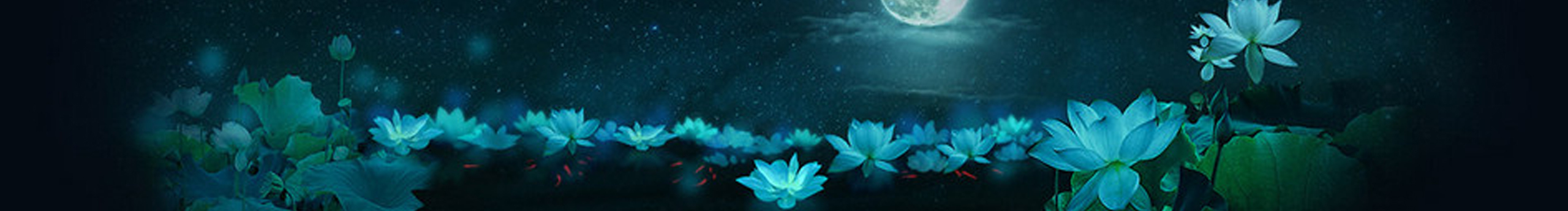 彬彬不鬍說vae的個人主頁（封面預(yù)覽） - 主頁封面設(shè)置 - 站酷設(shè)計師彬彬不鬍說vae原創(chuàng)素材 - 站酷ZCOOL