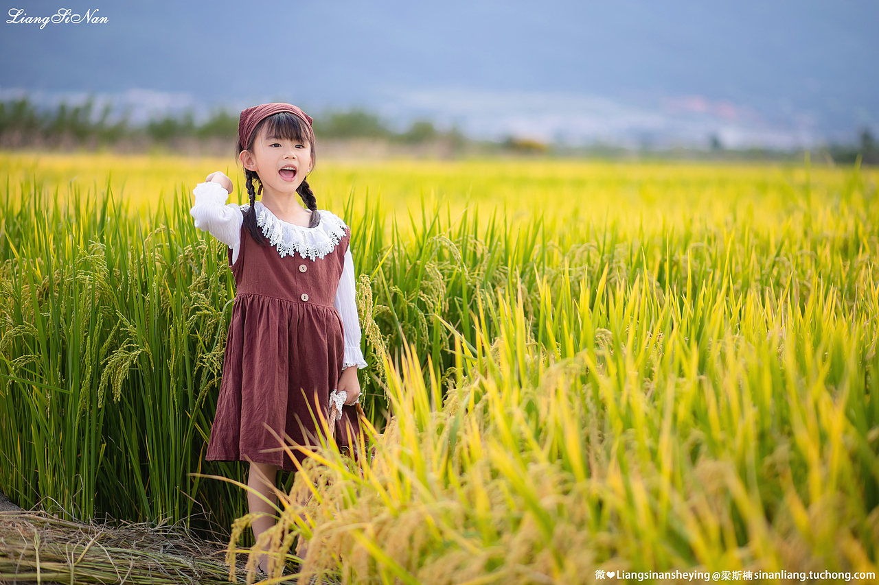 秋至稻香（图ZMjczNjQ0ODM2） - 人像摄影 - 站酷设计师梁斯楠原创素材 - 站酷ZCOOL