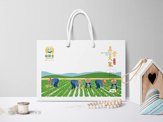 大米包装设计