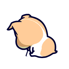 柯基咯叽微信动态表情-what