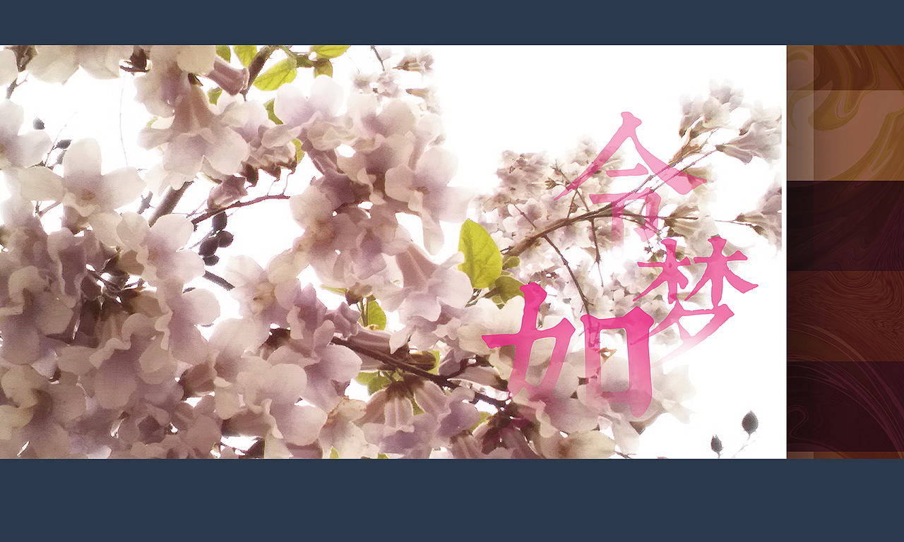 掌上明珠等（图ZMTE0NDg2Nzk2） - 风光摄影 - 站酷设计师绿兮依原创素材 - 站酷ZCOOL