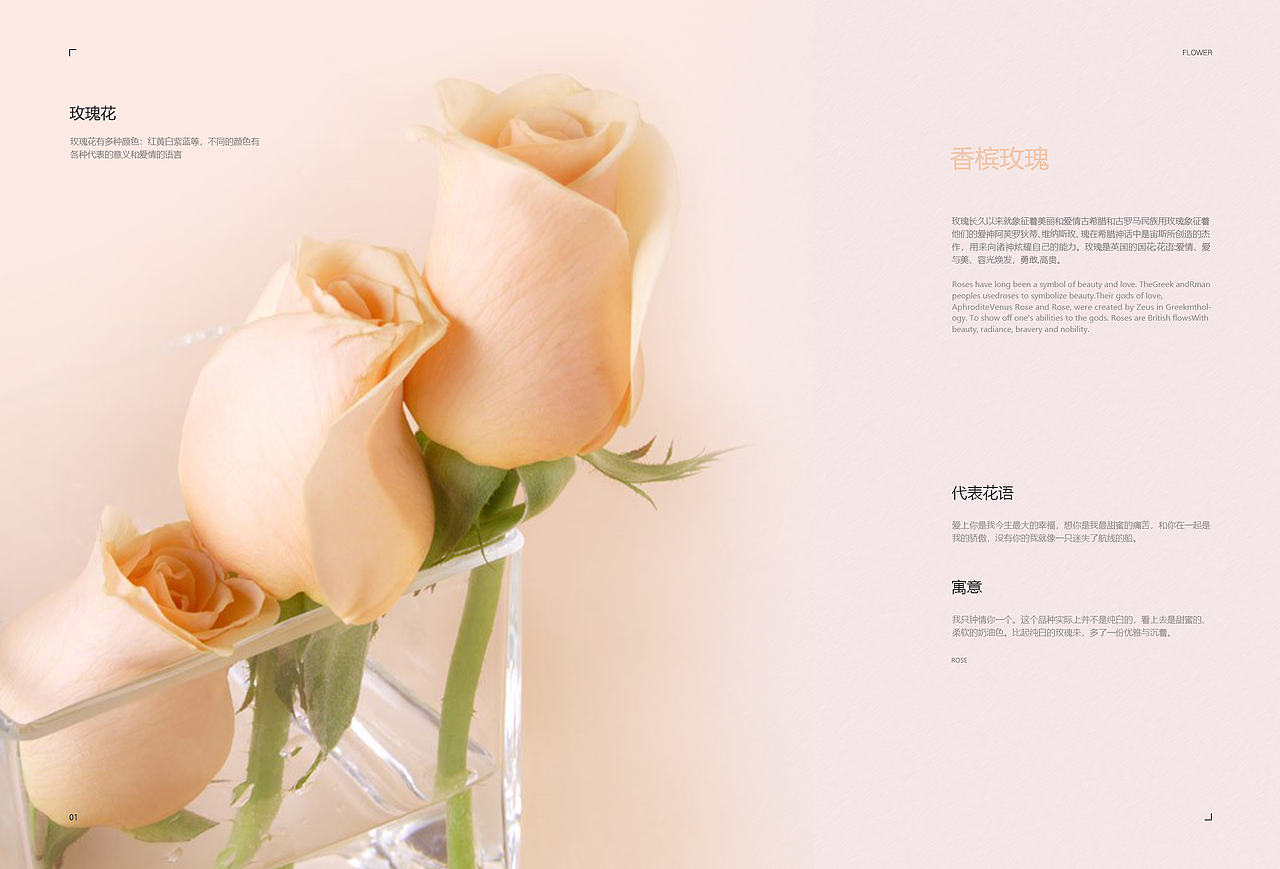 VIS画册（图ZMTk5NTEyMzQ0） - 书籍/画册 - 站酷设计师钓不到爱的鱼竿原创素材 - 站酷ZCOOL