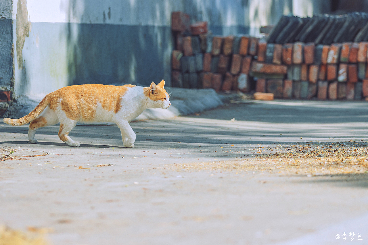 单车日记2019（图ZMTg3NDQ1Nzcy） - 人像摄影 - 站酷设计师腰果虾仁原创素材 - 站酷ZCOOL