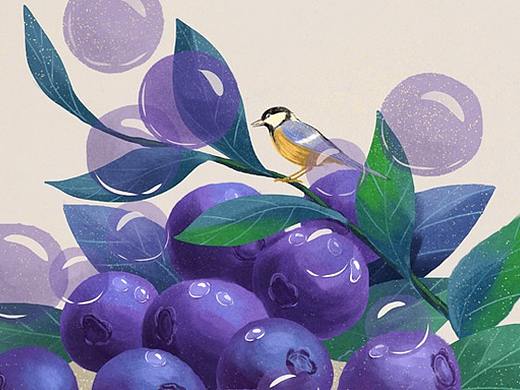 猫与婵插画记 | 水果里的二十四节气（下）