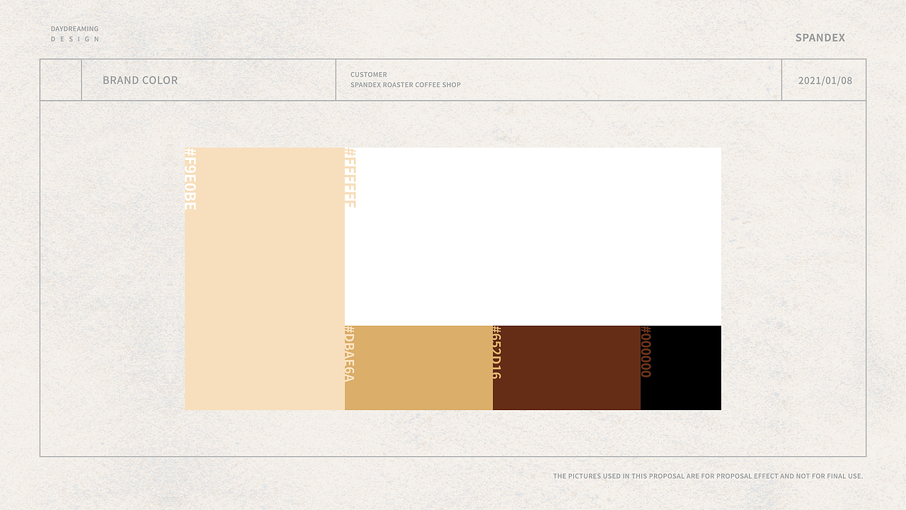 SpandexRoaster 维度咖啡 X Hoctopus & Daydreaming