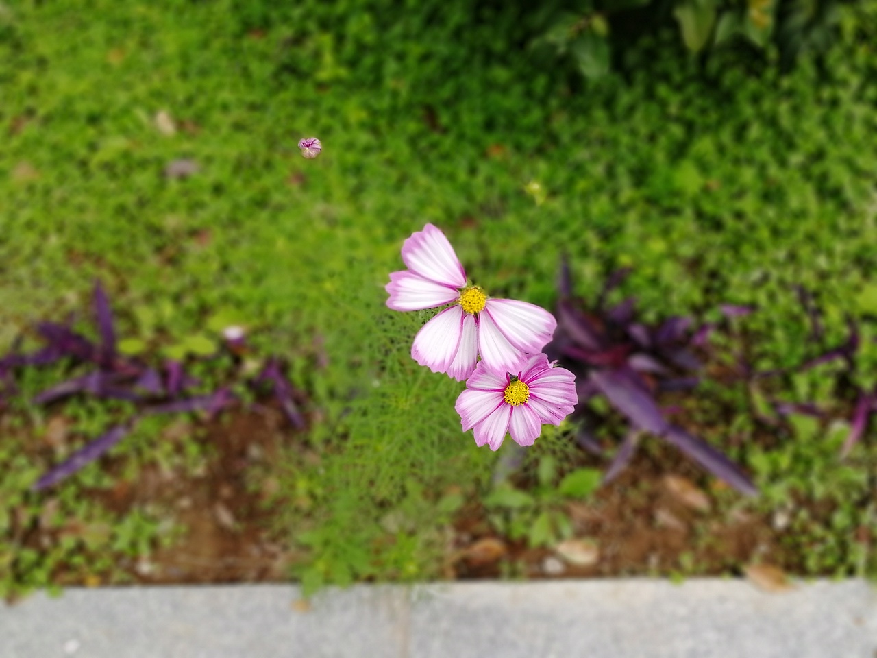 德阳高尊文化中心