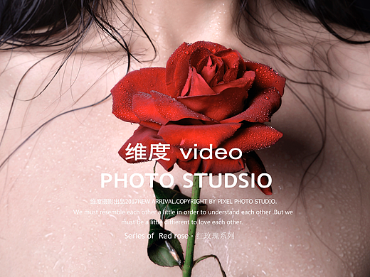 Series of Red rose 红玫瑰系列（个人主页-ZMjM5NDU4ODg=） - 人像摄影 - 站酷设计师维度_VIDEO原创素材 - 站酷ZCOOL