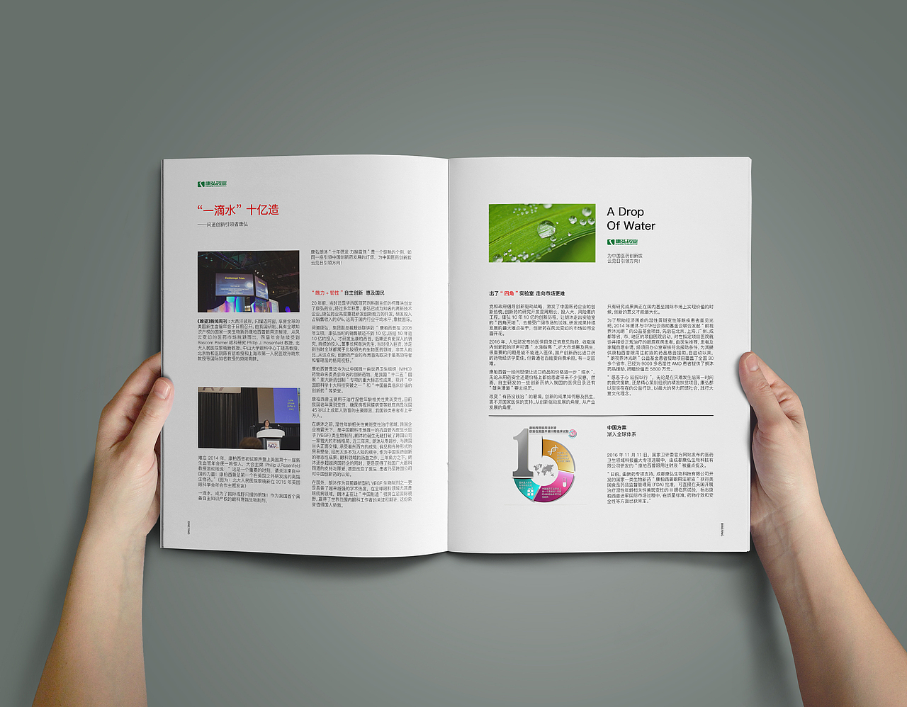 康弘药业简报第一期