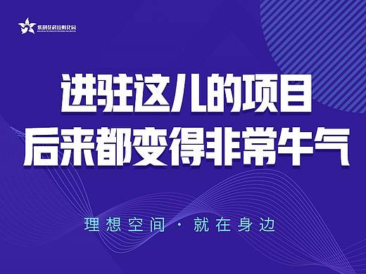 进驻这儿的项目，后来都变得非常牛气