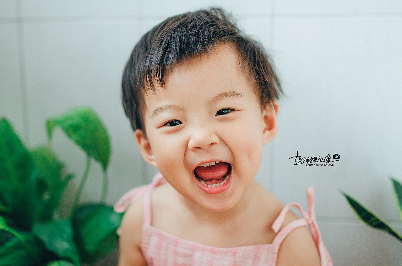 有西瓜才是夏天