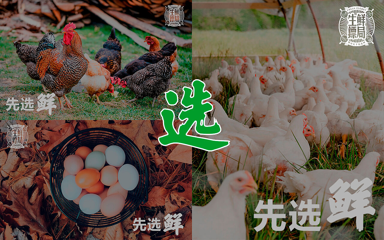 生鲜镖局品牌形象设计