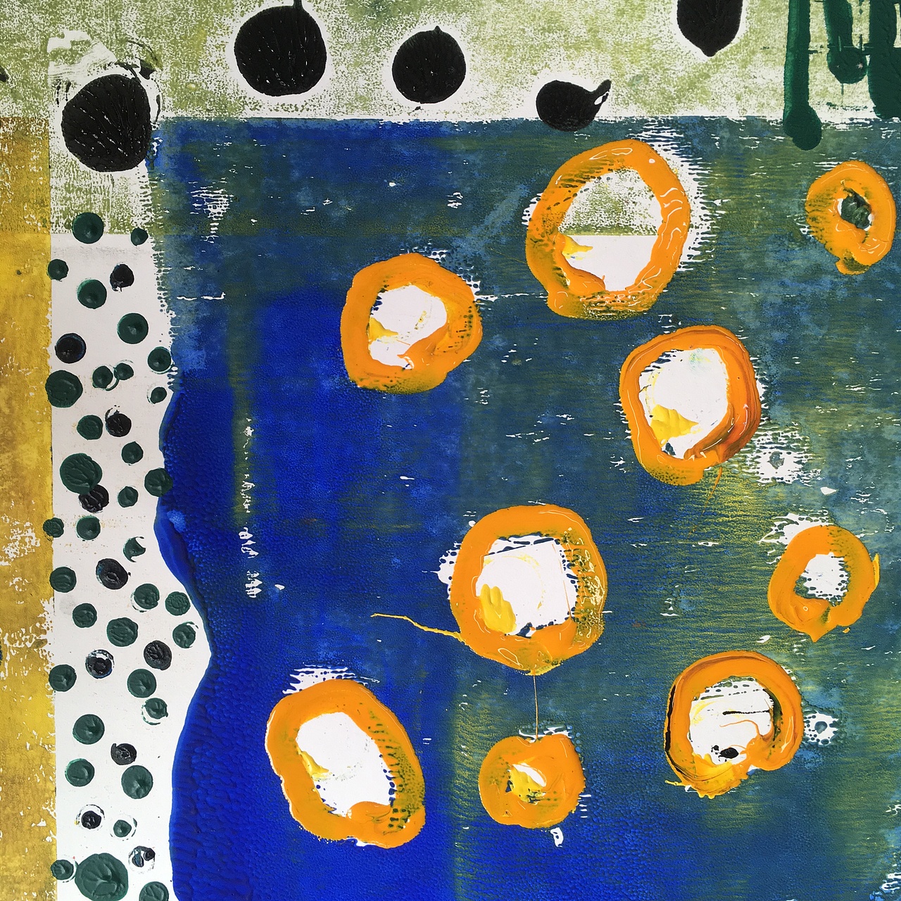 我们跟着阿毛一起玩