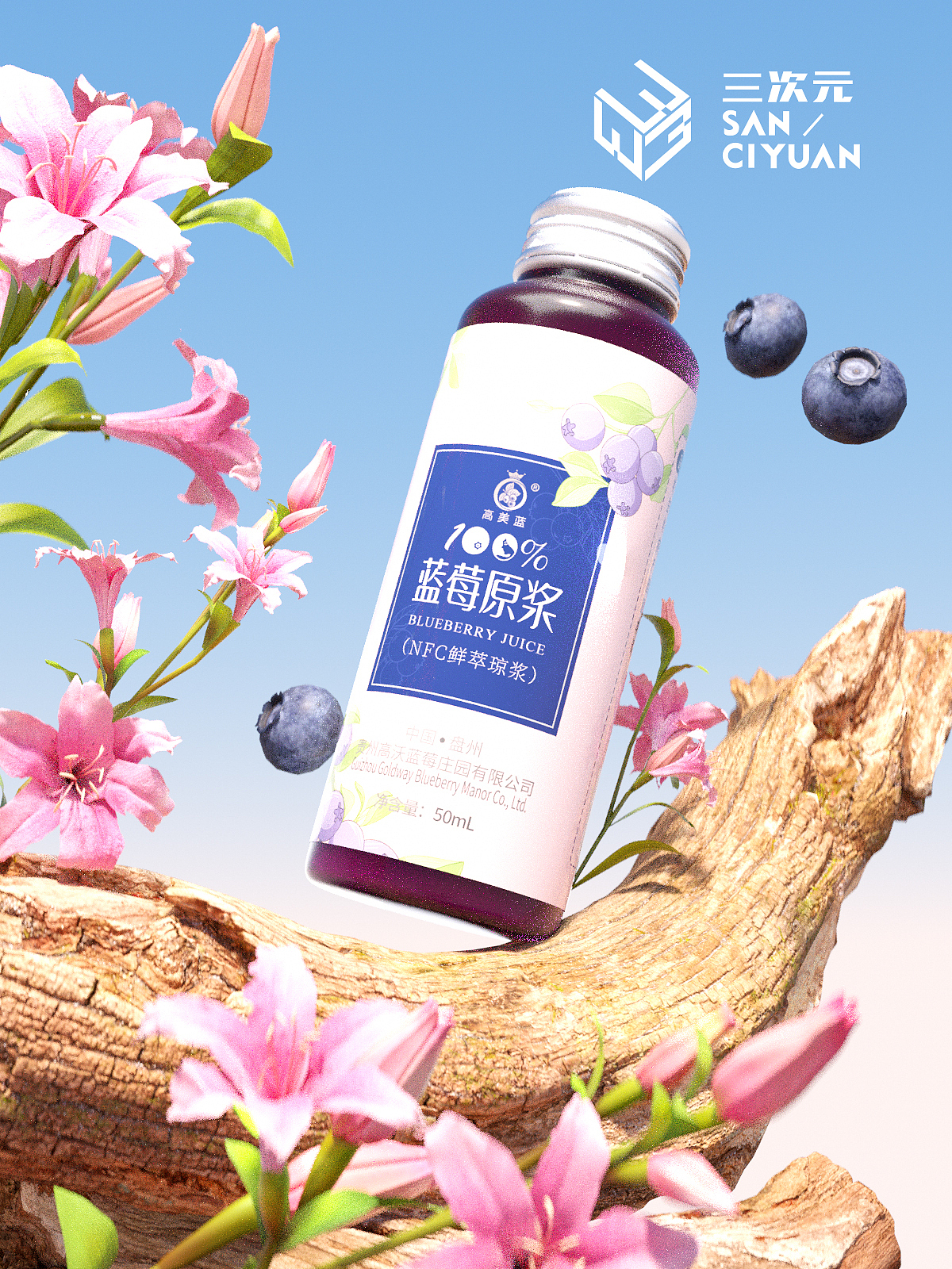 蓝莓原浆案例分享