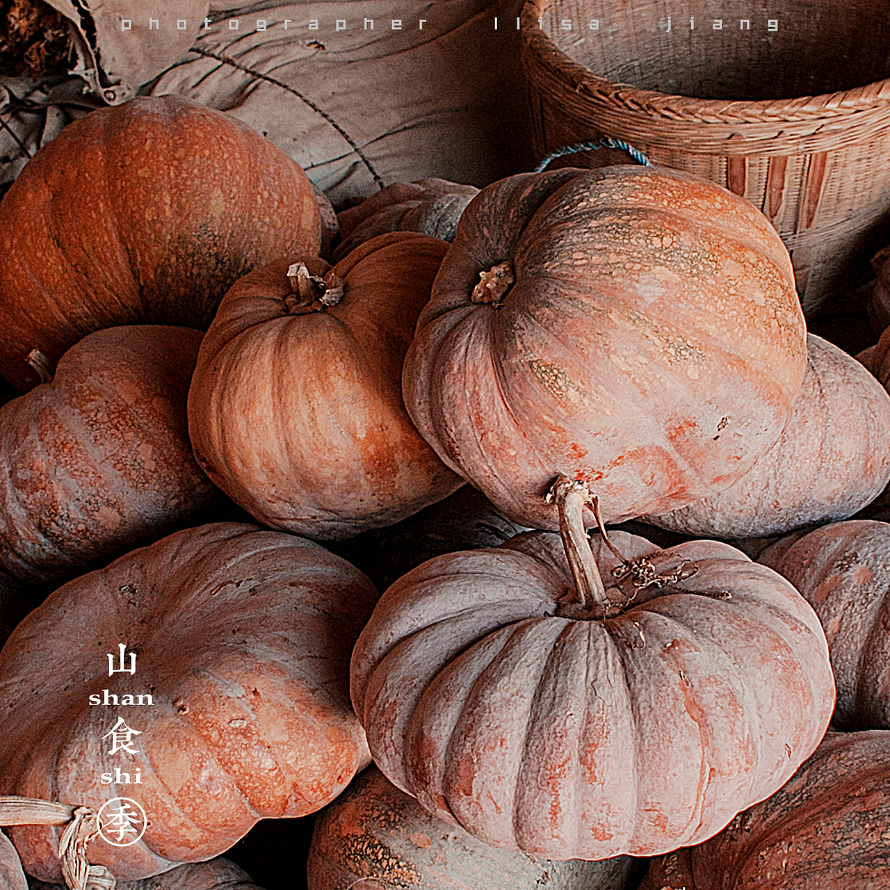 小品四季（图ZMTA4NTgyNTM2） - 产品摄影 - 站酷设计师挲lisa原创素材 - 站酷ZCOOL