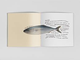 《看起来很好吃》创意画册设计