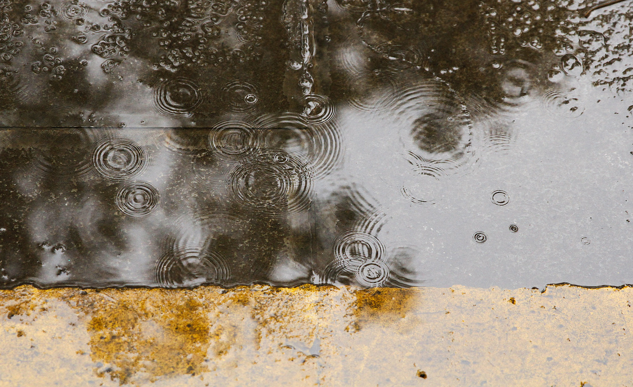 【生活记录】雨后桂花（图ZMTYwNzMzMDgw） - 其他摄影 - 站酷设计师微草堂狐仙大人原创素材 - 站酷ZCOOL