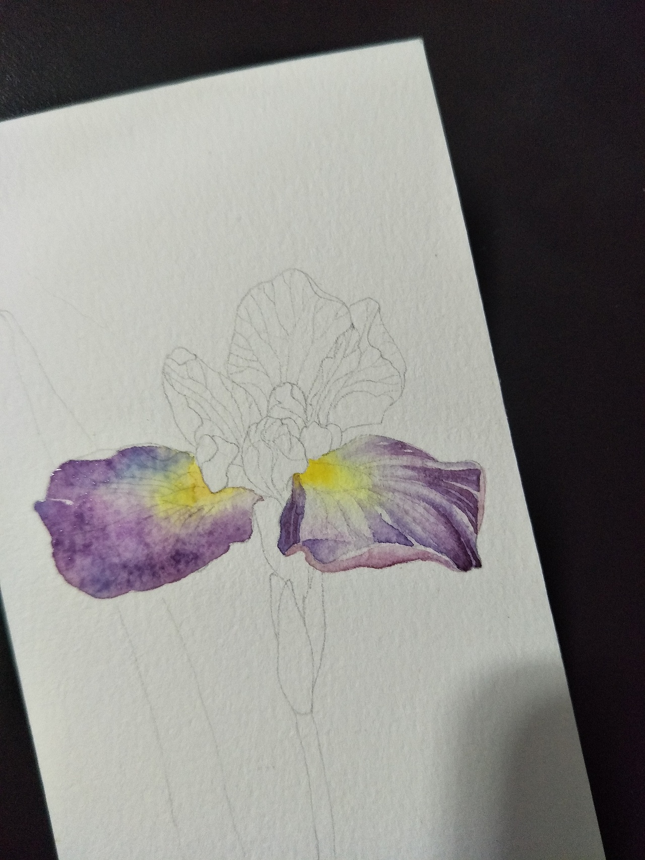 水彩画 书签一枚 鸢尾花◢紫（图ZODM5MDQ0MDA=） - 绘画 - 站酷设计师zjduoer原创素材 - 站酷ZCOOL