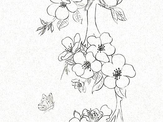近期花鸟线稿
