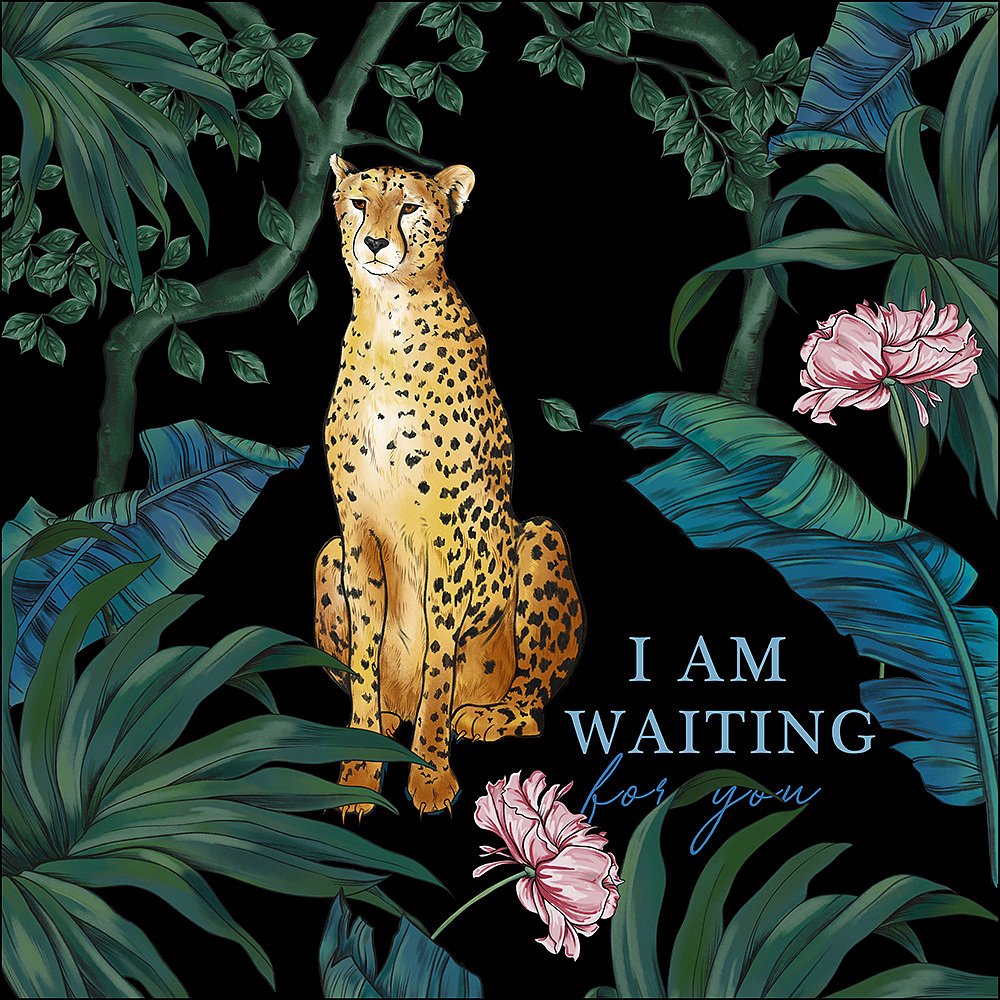 小懒豹|插画|商业插画|对半分开的西兰花 - 原创作品 - 站酷 (zcool)