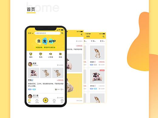 APP页面