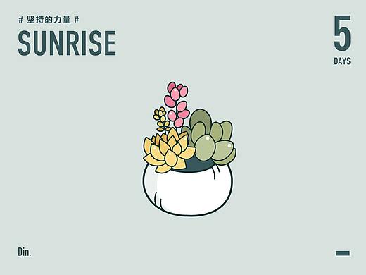 插画练习三:多肉