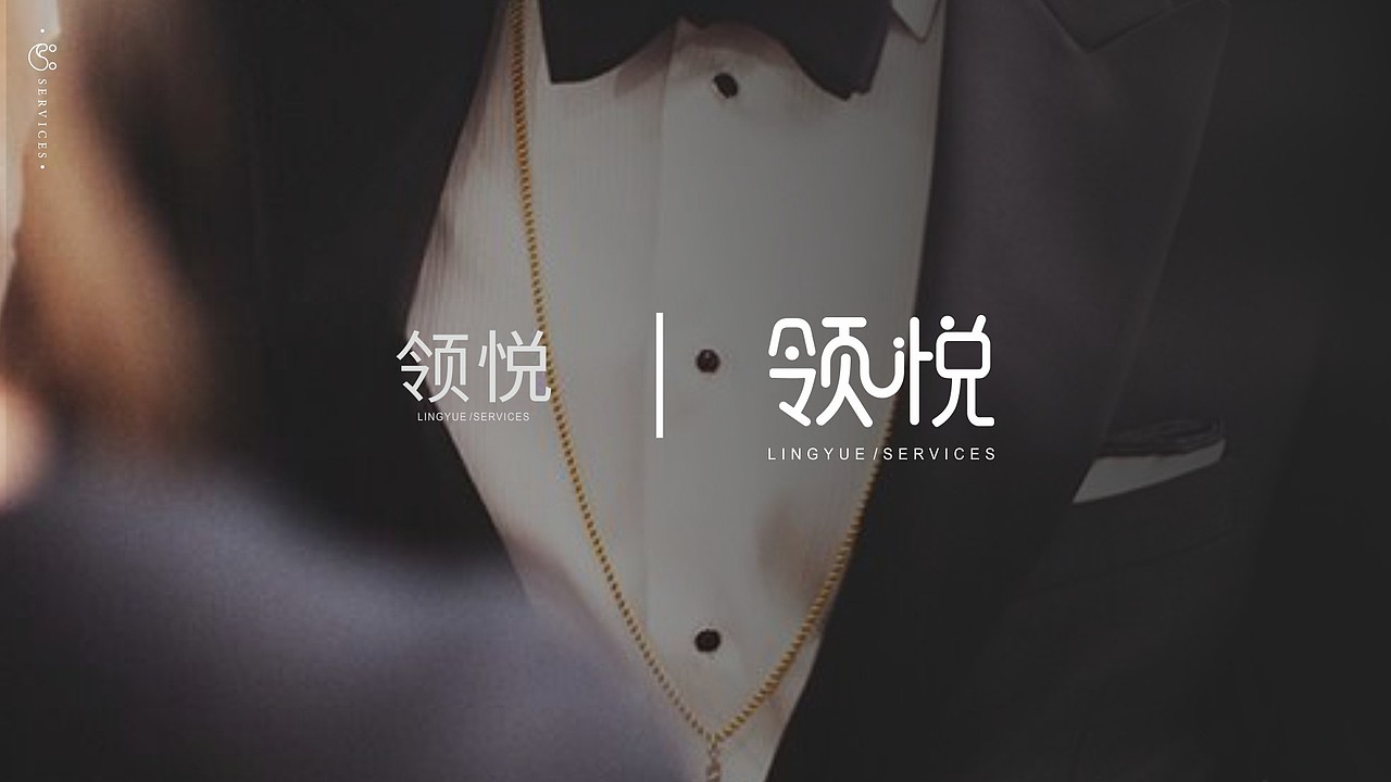 领地物业-领悦VIS 提案