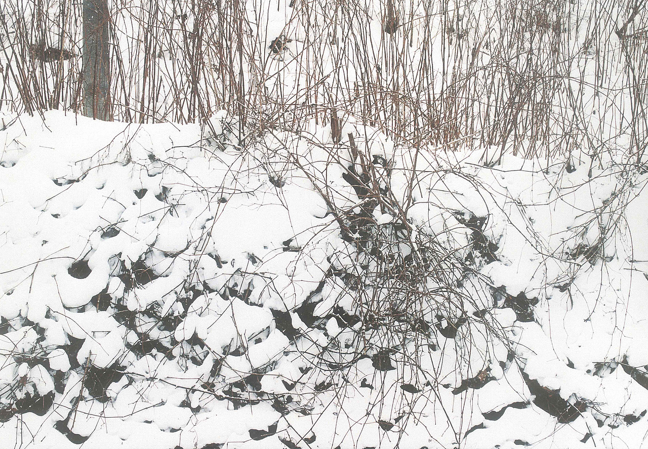 十二月十五日天气晴零下五度 ​​​​（图ZMTQwNzM1NjIw） - 人像摄影 - 站酷设计师NiccoCai原创素材 - 站酷ZCOOL