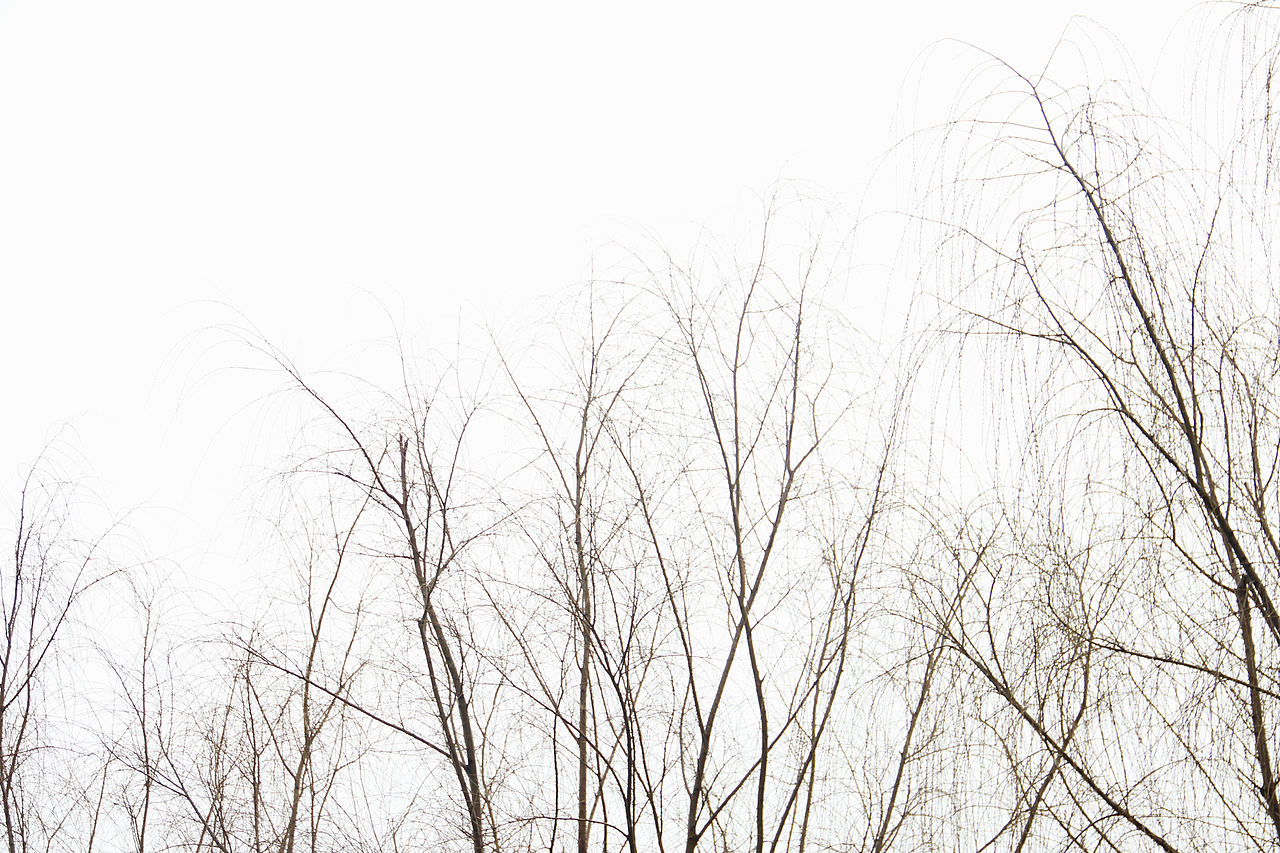 枯竭 黄昏 霓虹