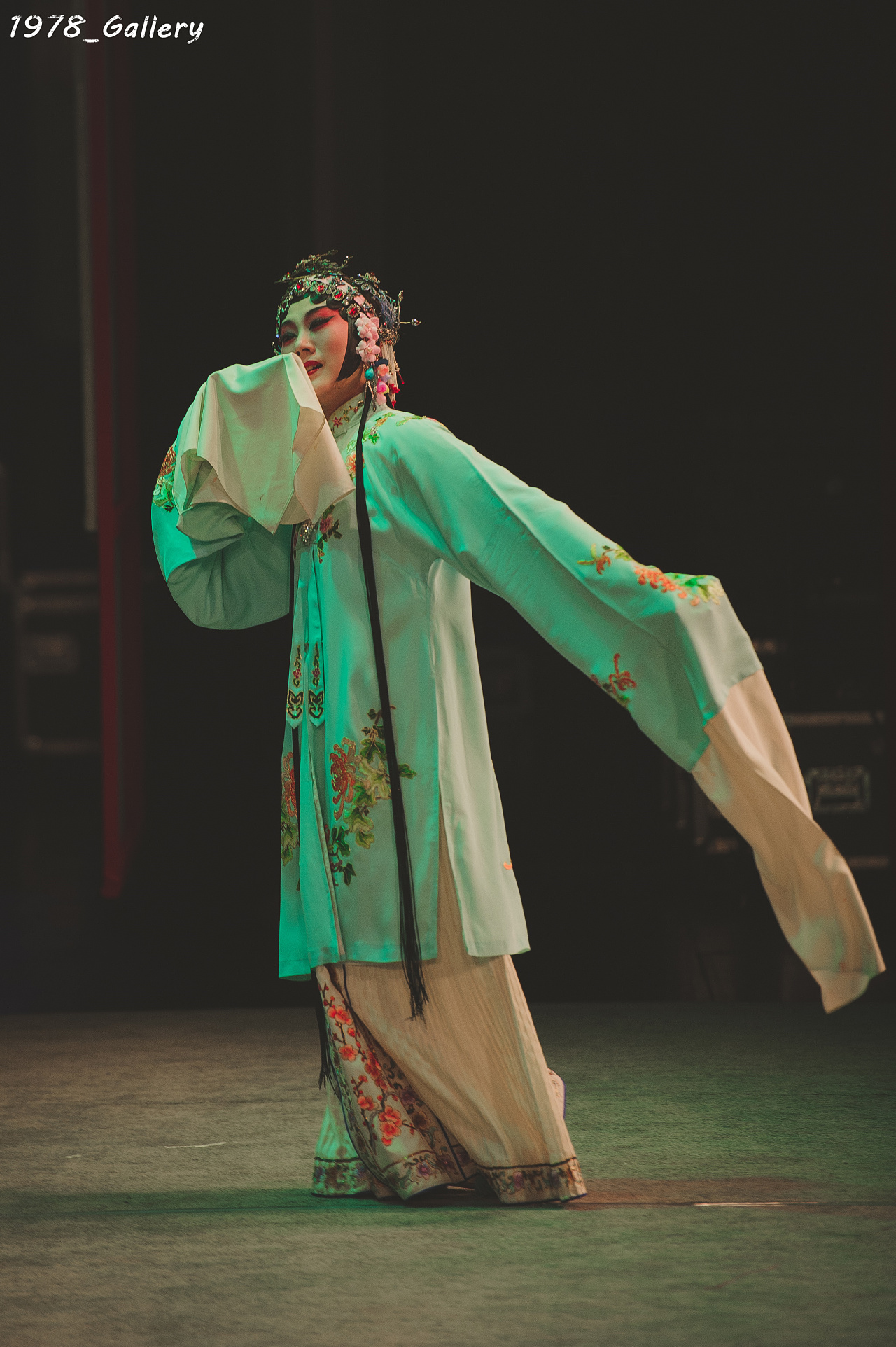 昆曲精华-临川四梦之《牡丹亭》