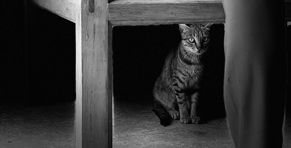 木头衣鱼的个人主页（封面预览） - 主页封面设置 - 站酷设计师木头衣鱼原创素材 - 站酷ZCOOL