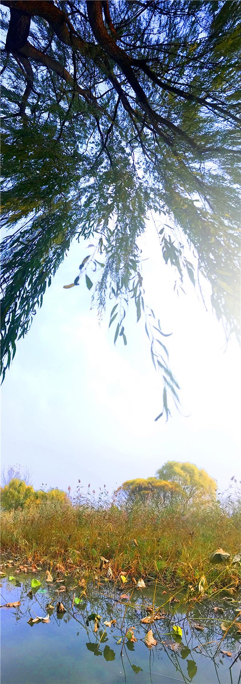 刘勇良手机纪实摄影:北京初冬的早晨