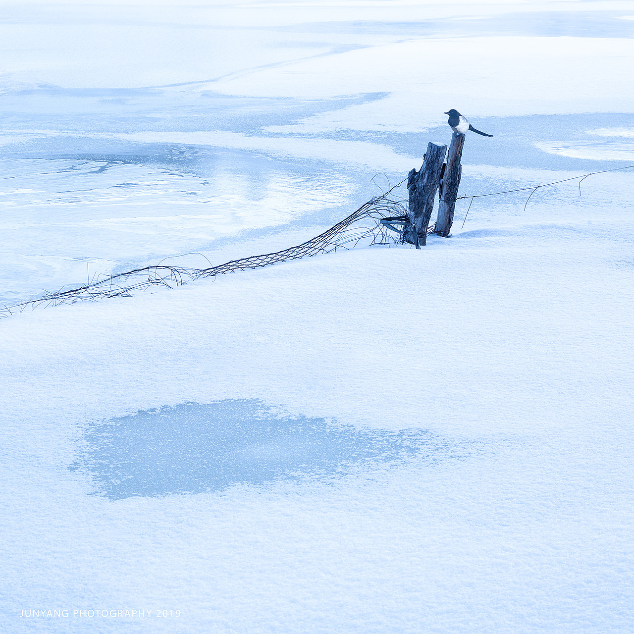 坝上组曲之三（图ZMjAwMzE5MjI0） - 风光摄影 - 站酷设计师竣阳视界原创素材 - 站酷ZCOOL