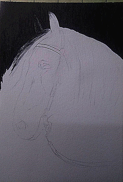 马·生而忧伤（图ZMjMxOTU0NDg4） - 绘画 - 站酷设计师二熊熊原创素材 - 站酷ZCOOL