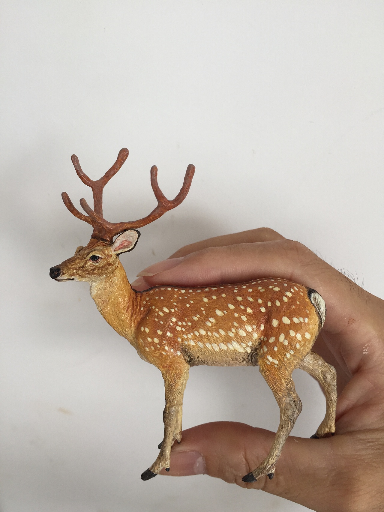 模型,本人特别喜欢鹿,鹿之林这个艺名由此而来,这只梅花鹿也是比较