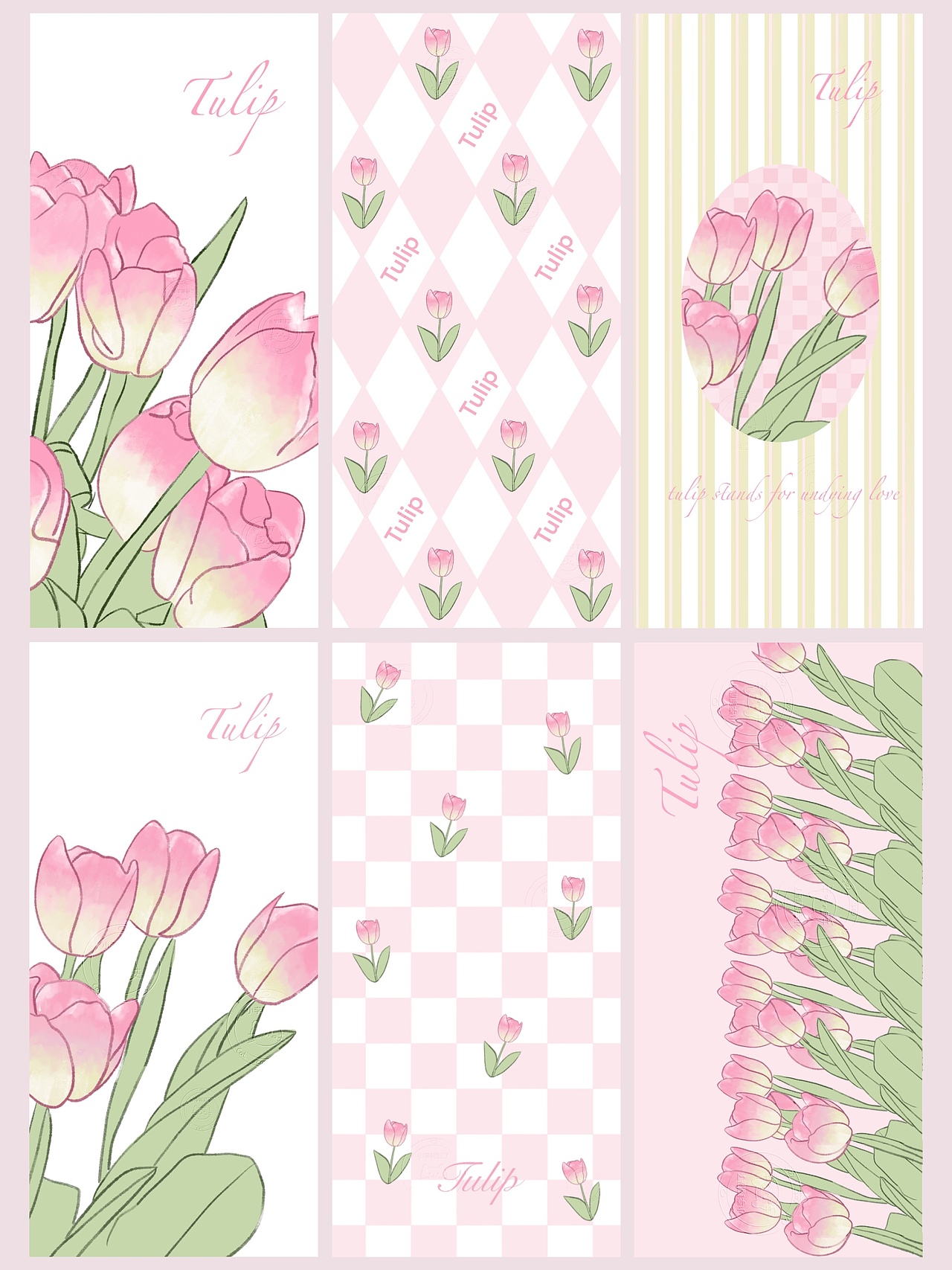 原创粉色郁金香🌷壁纸