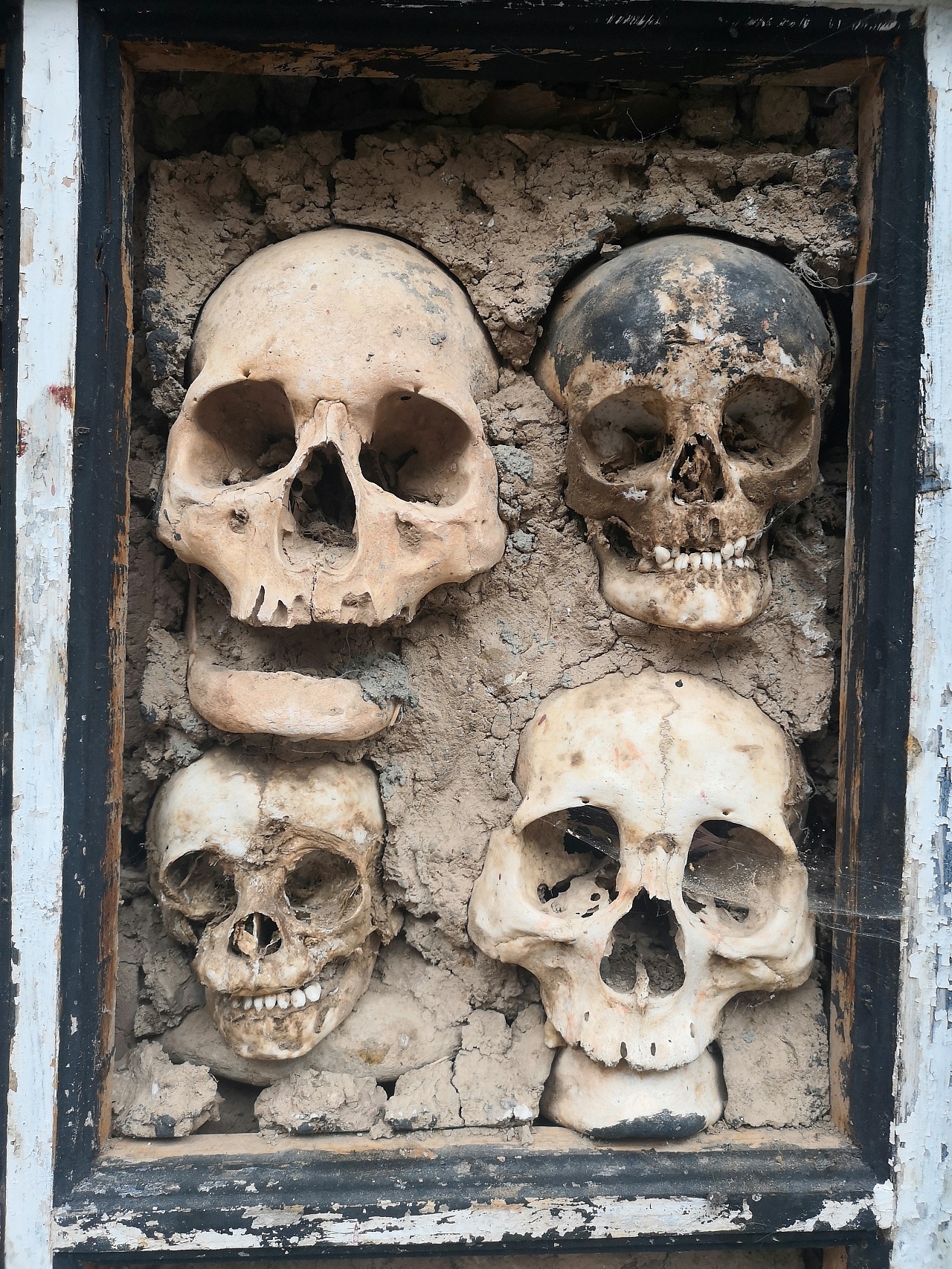 【摄影】骷髅墙