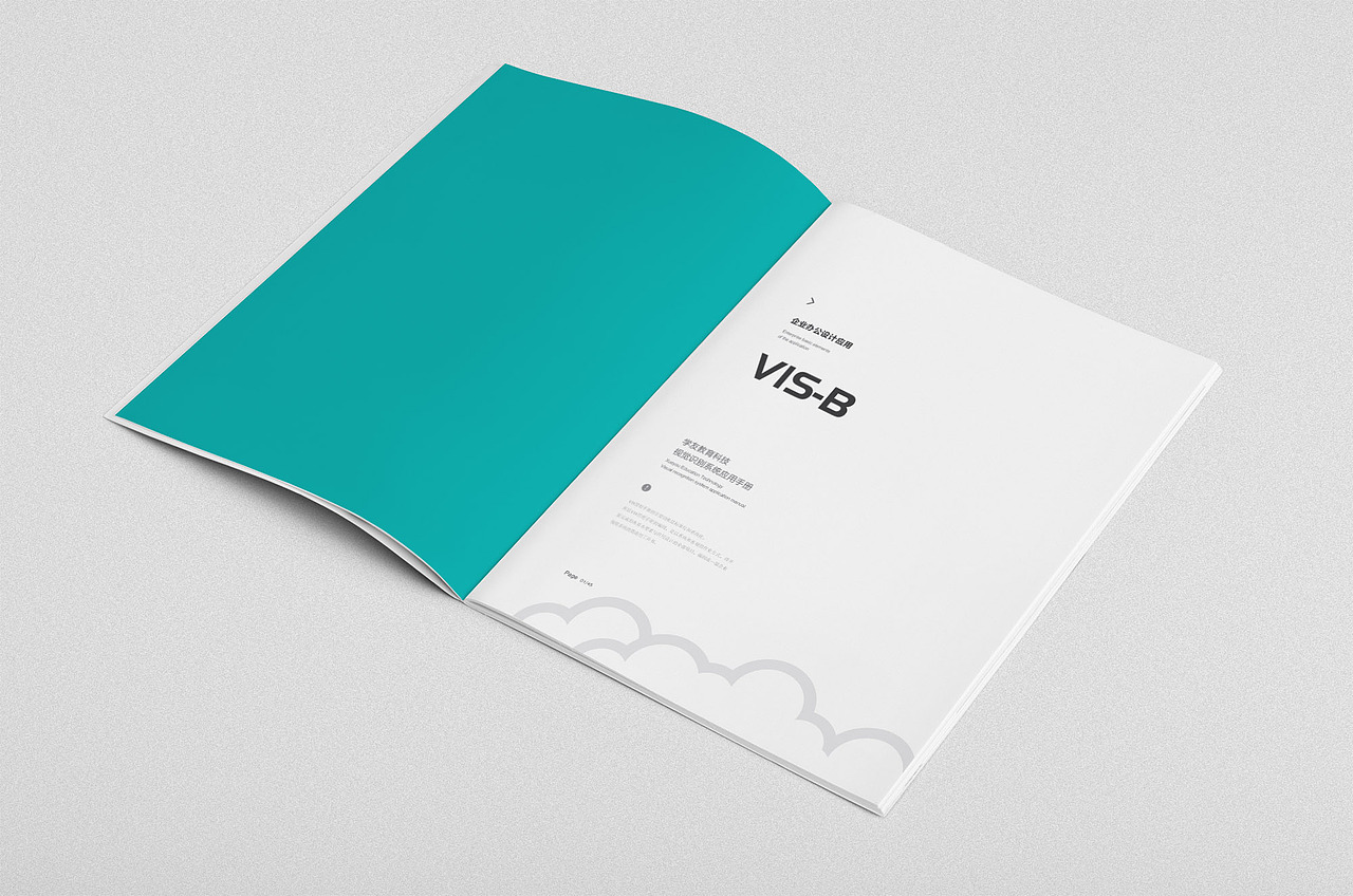 撸到头大的VI手册（图ZNjU0MDIwMjg=） - 品牌 - 站酷设计师阵前原创素材 - 站酷ZCOOL