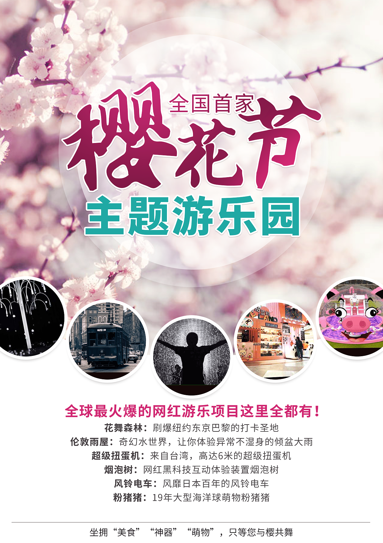 大连国际樱花节