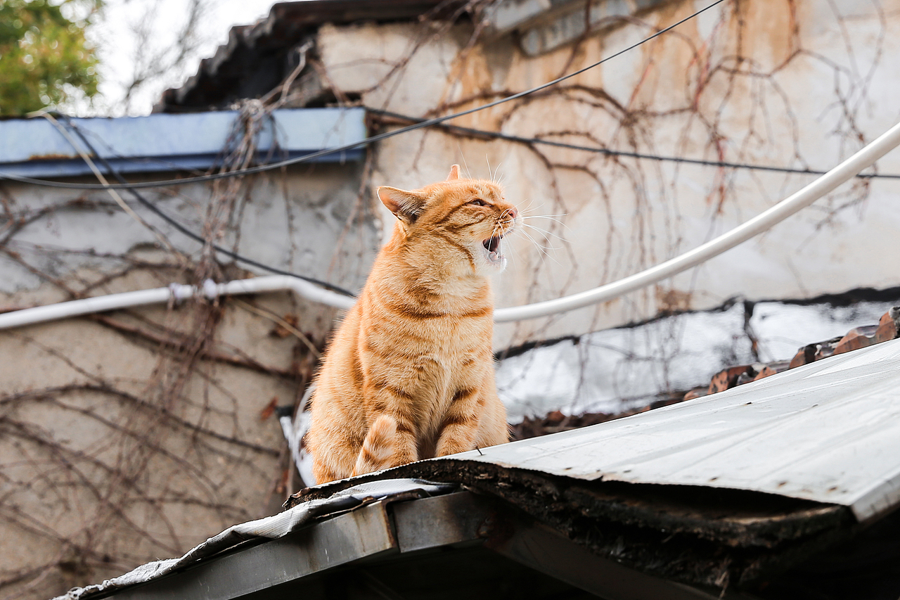 济南（图ZMTkxMTUzNzky） - 风光摄影 - 站酷设计师非鱼子鹿原创素材 - 站酷ZCOOL