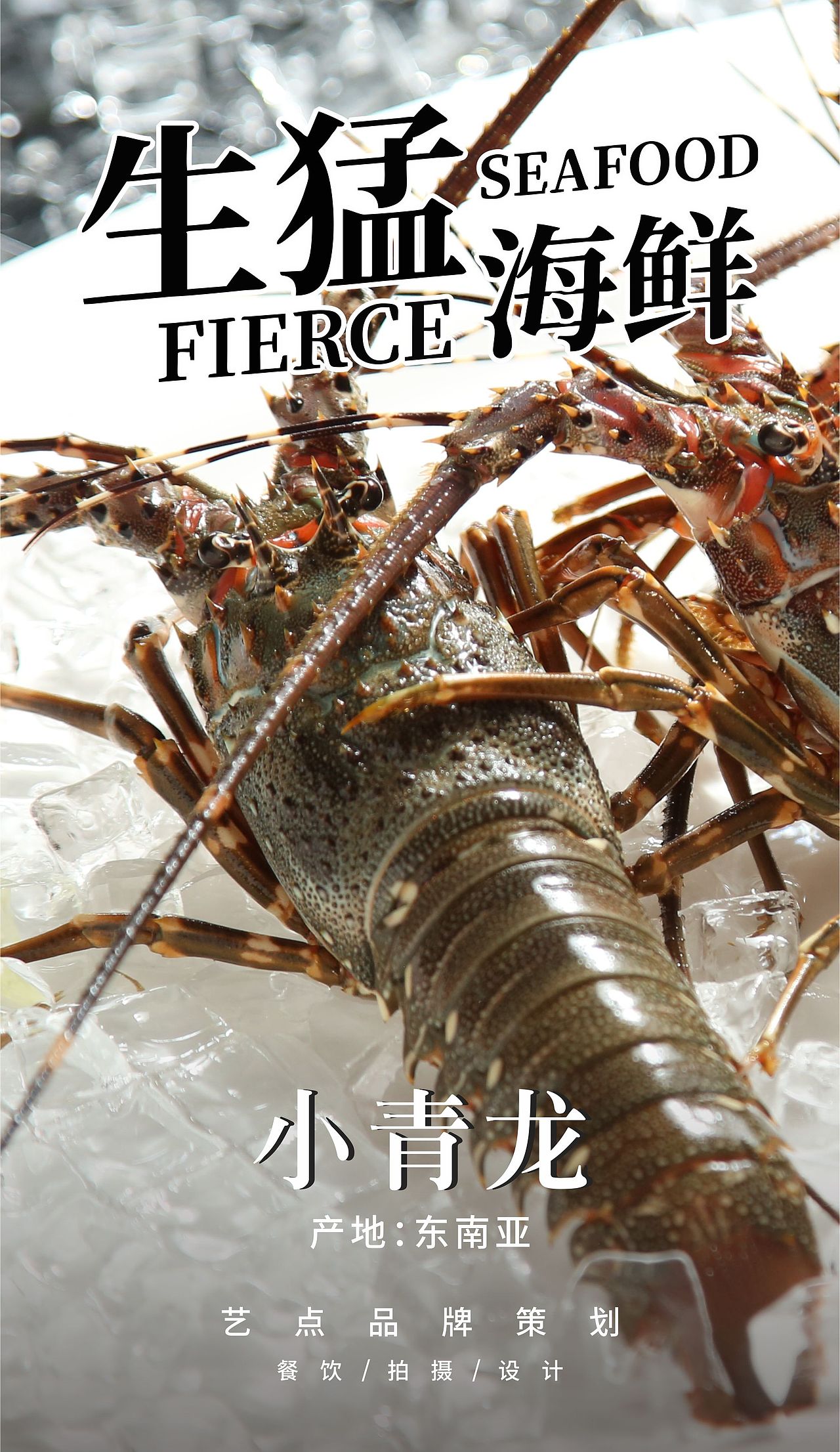 【美食摄影】|【海鲜】东江×子目（图ZMjM5NTgzODMy） - 产品摄影 - 站酷设计师庄周KING原创素材 - 站酷ZCOOL