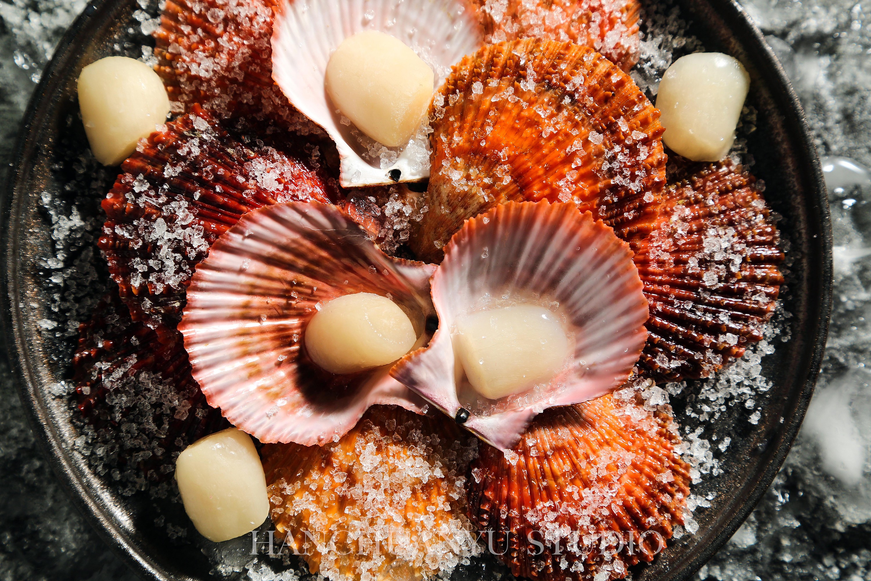 海鲜拍摄之扇贝 扇贝美食拍摄 海鲜拍摄 美食拍摄