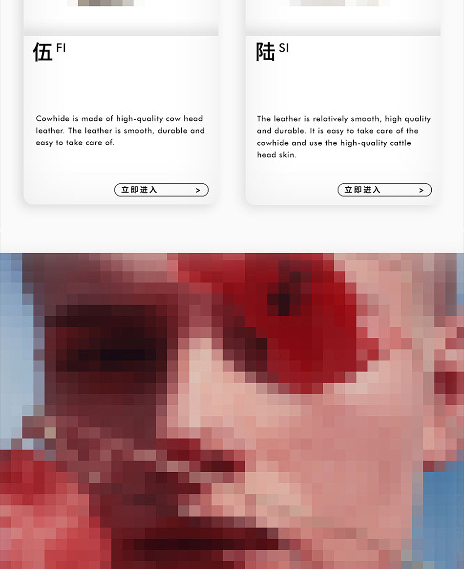 高级感时尚商城首页设计