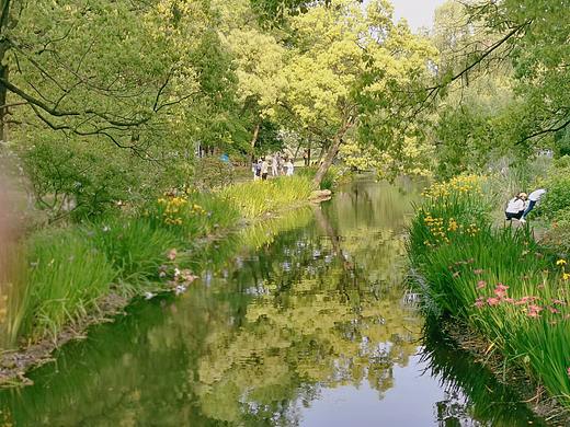 闯入莫奈的花园