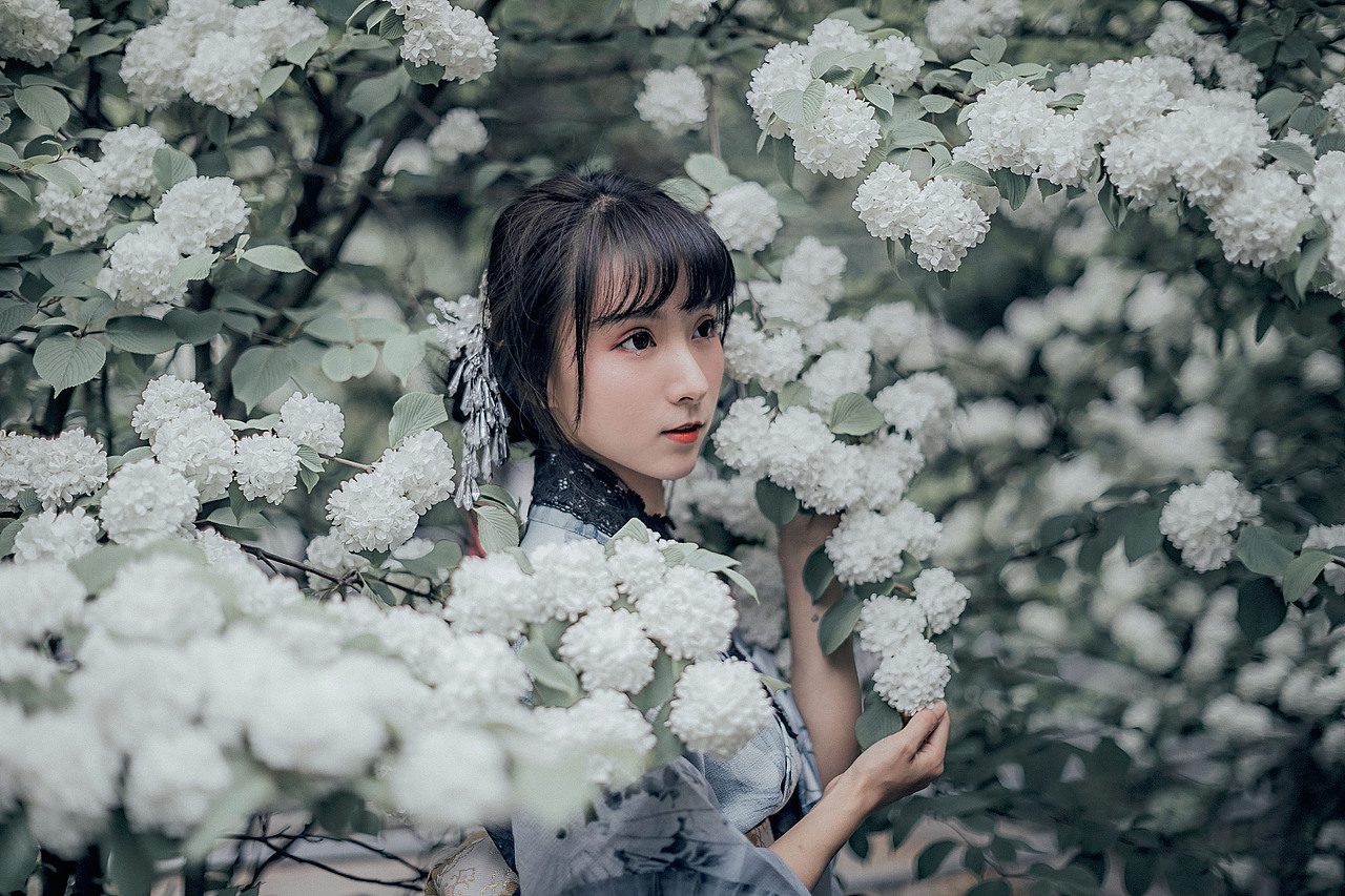 和服 绣球花 （第一次来站酷玩，嘿嘿）（图ZMTEzMDMzMTA4） - 人像摄影 - 站酷设计师李子木LZM原创素材 - 站酷ZCOOL