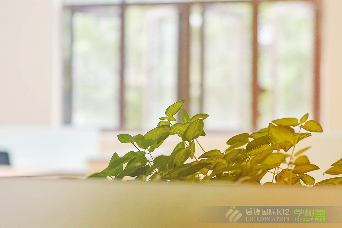 启德学树堂空间摄影（图ZMTE1MDcwMDU2） - 环境/建筑摄影 - 站酷设计师脚板丫原创素材 - 站酷ZCOOL