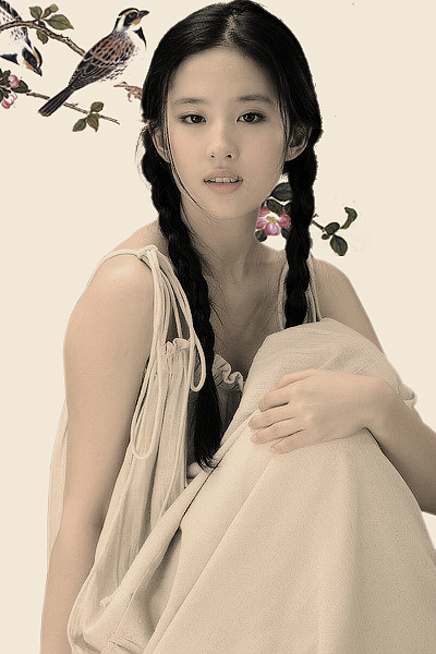 中国古风，宛如工笔画（图ZMzkyNDc1NzY=） - 宣传物料 - 站酷设计师暝2015原创素材 - 站酷ZCOOL