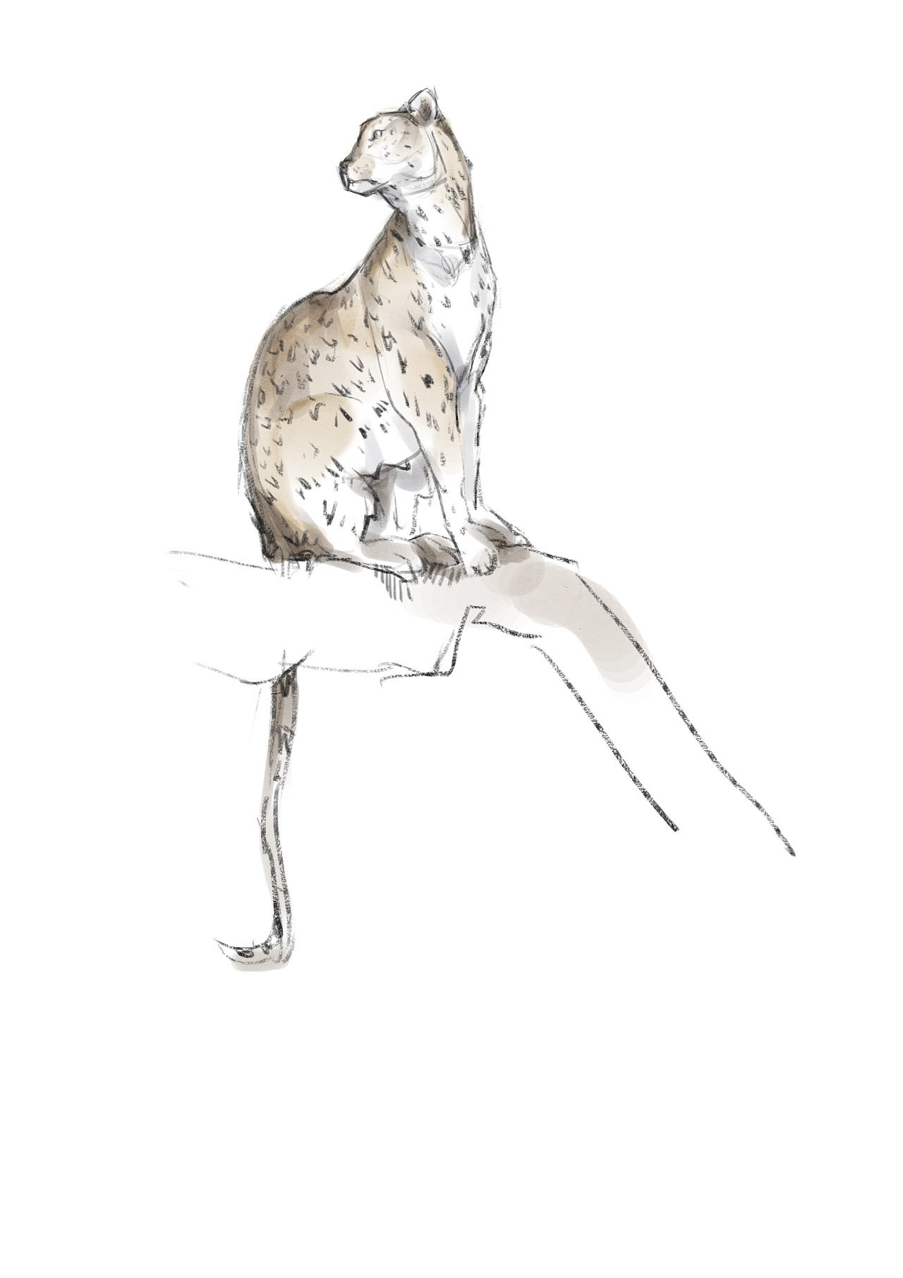 野兽- 原创作品 - 站酷(zcool)