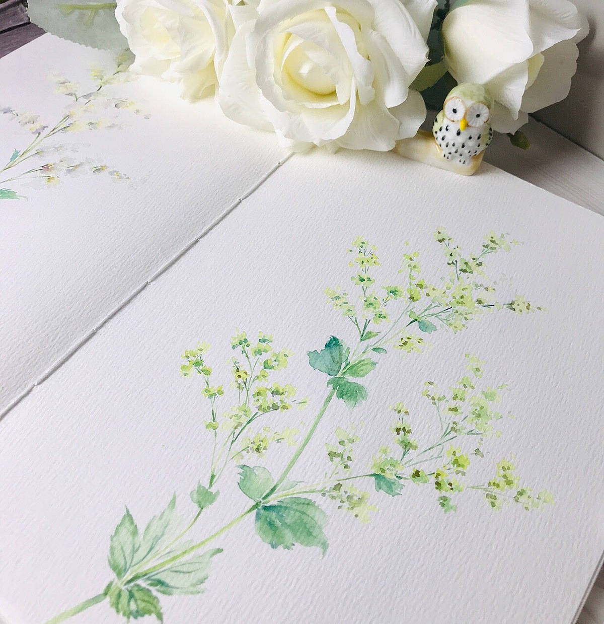 水彩花卉作品（图ZMjI0NzMyNjM2） - 绘画 - 站酷设计师闲月时光原创素材 - 站酷ZCOOL