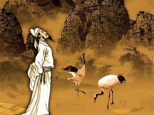 梦见花开